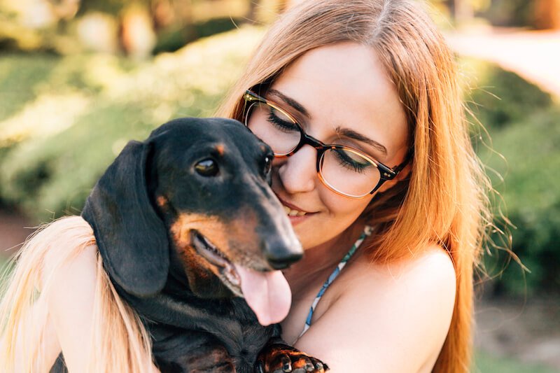 Quelle nourriture pour chien choisir en restant vigilant par rapport à sa santé et son bien-être ?